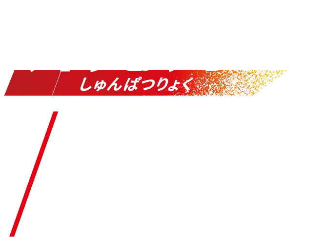 瞬発力しゅんぱつりょく NO.1 スマトラトラ［東南アジア（インドネシア スマトラ島）］体長：1.4〜1.6m　体重：75〜150kg