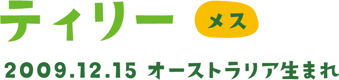 ティリー メス 2009.12.15 オーストラリア生まれ