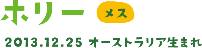 ホリー メス 2013.12.25 オーストラリア生まれ