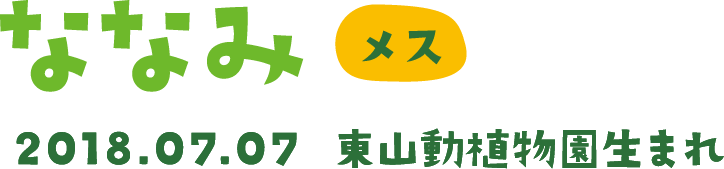 ななみー メス 2018.07.07  東山動植物園生まれ