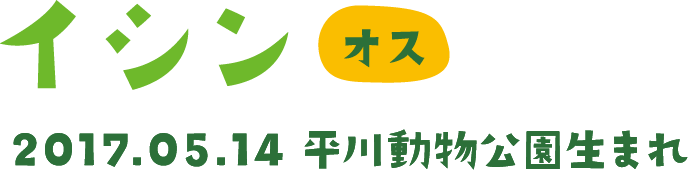 イシン オス 2017.05.14 平川動物公園生まれ