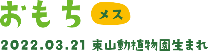 おもち メス 2022.03.21 東山動植物園生まれ