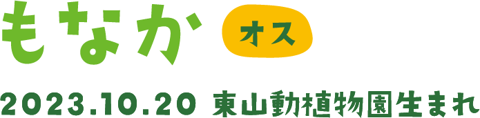 赤ちゃん オス 2023.10.20 東山動植物園生まれ